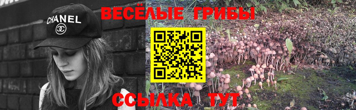 Галлюциногенные грибы Psilocybe  Вход с VPN  Каспийск 